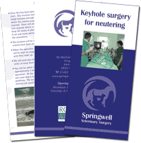 Key Hole Surgery Key Hole Surgery