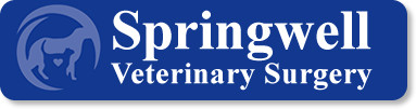 springwell vets in tring springwell vets in tring