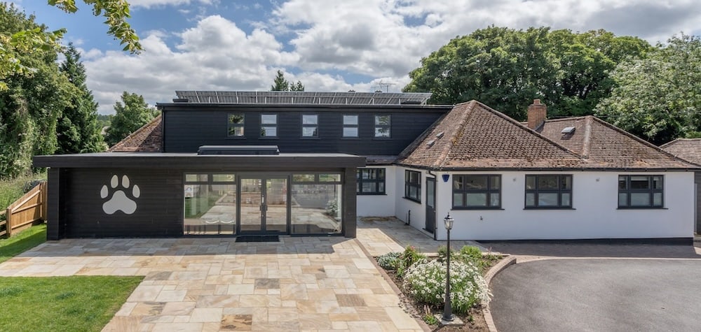 Springwell vets in Tring