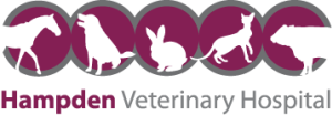 Hampton Veterinary Hospital